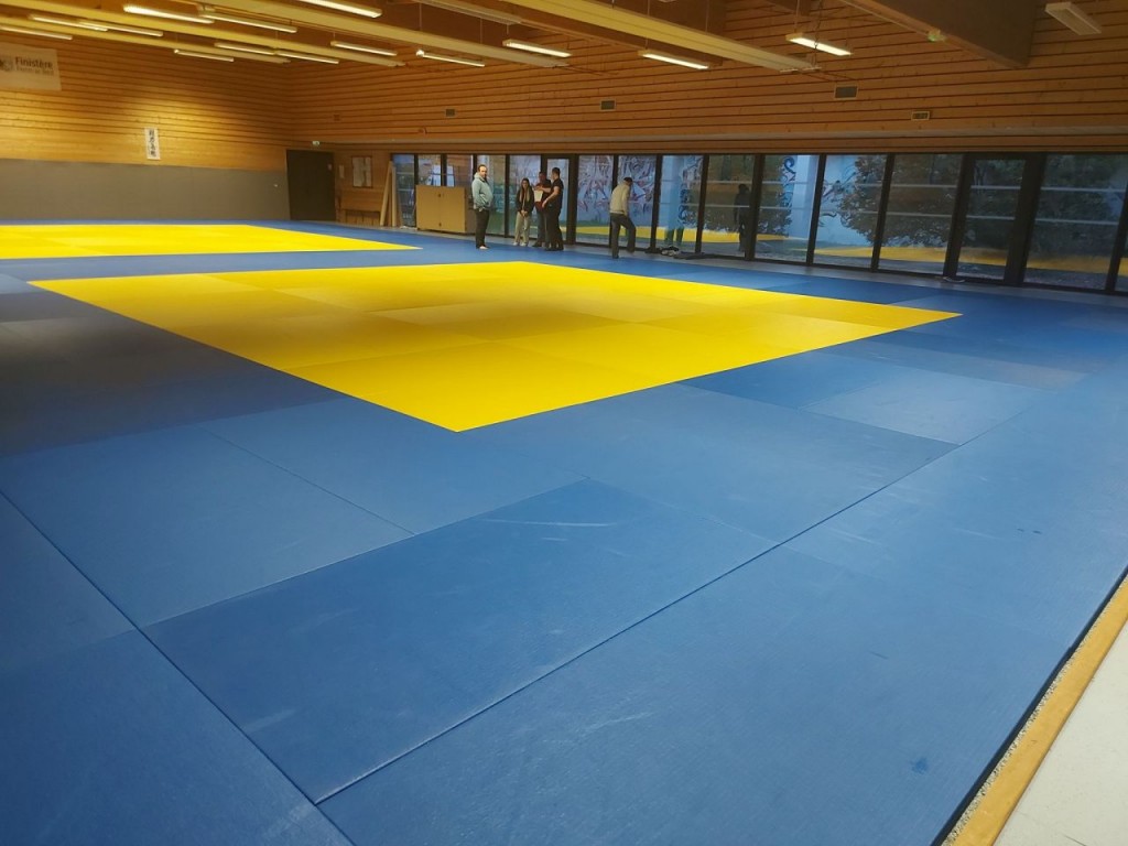 Image de l'actu 'MERCREDI 19 FEVRIER 2025 : 17H30  RDV AU DOJO POUR LA MISE EN PLACE DES TATAMIS au DOJO'