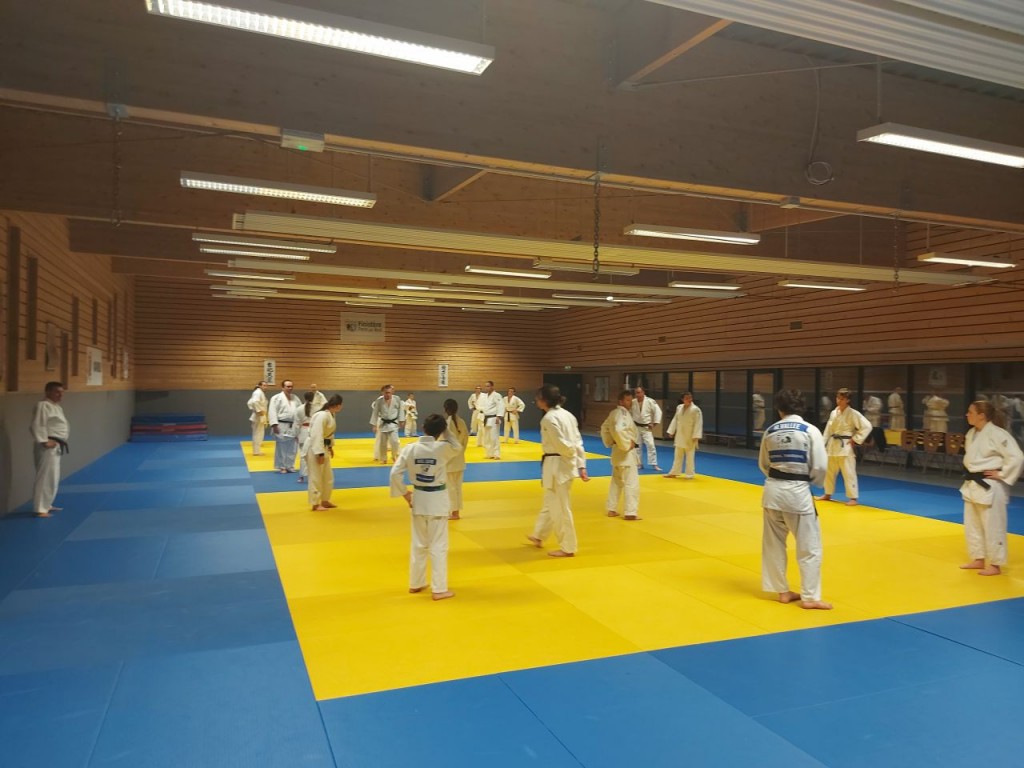 Image de l'actu 'SAMEDI 2 NOVEMBRE 2024 : ENTRAÎNEMENT DE MASSE AU DOJO'